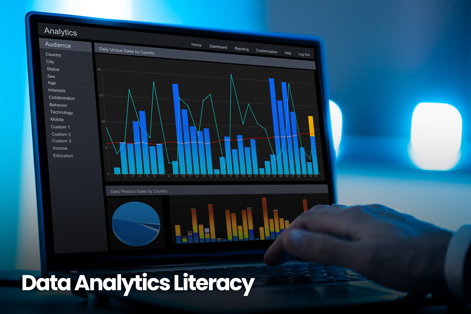 Data Analytics Literacy